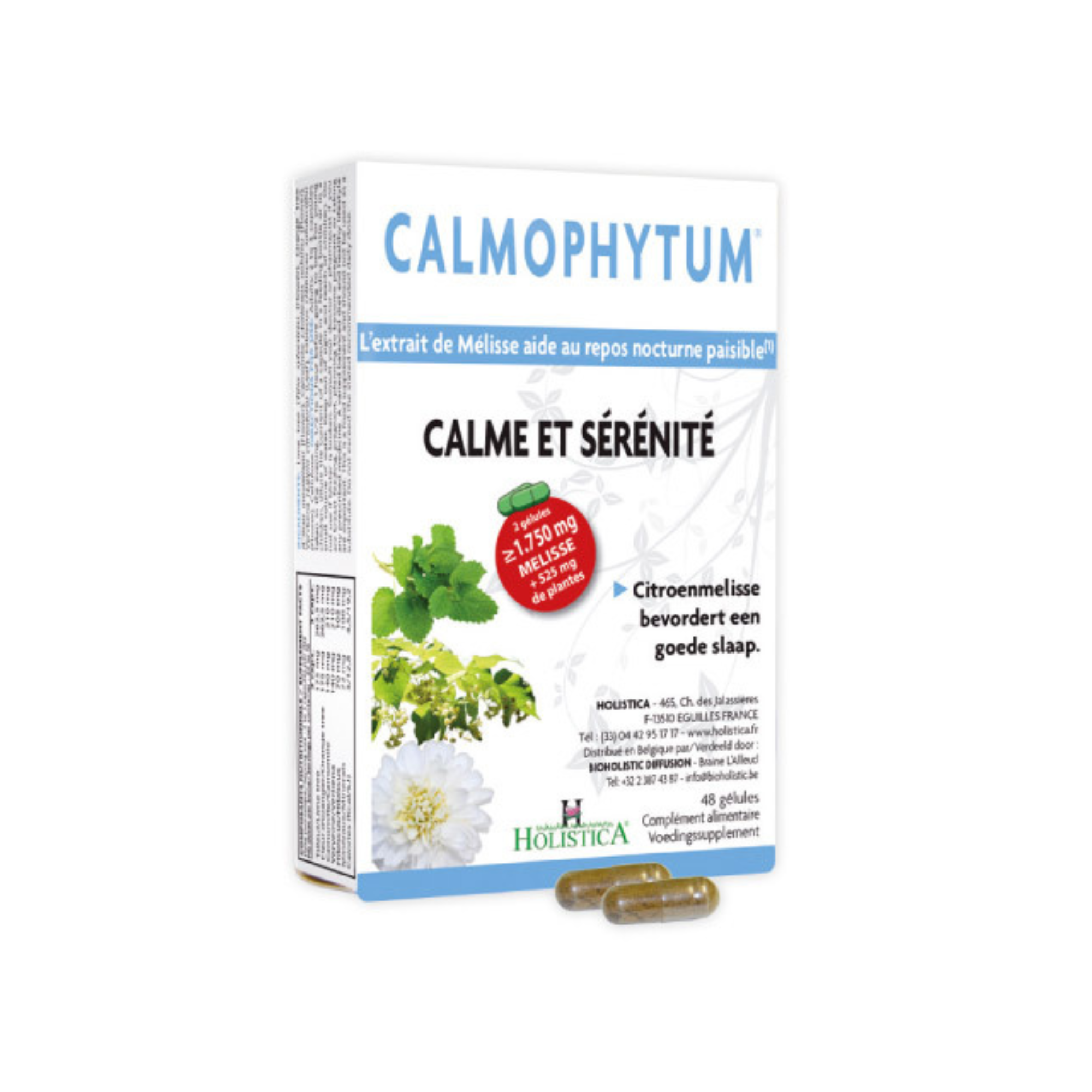 Calmophytum* 
